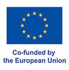 EU flag